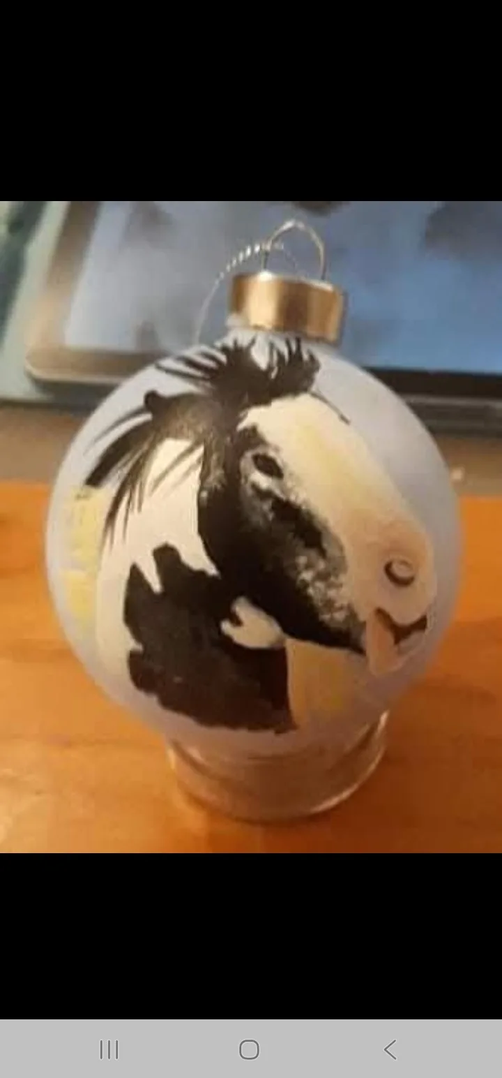 Personlige julekuler!