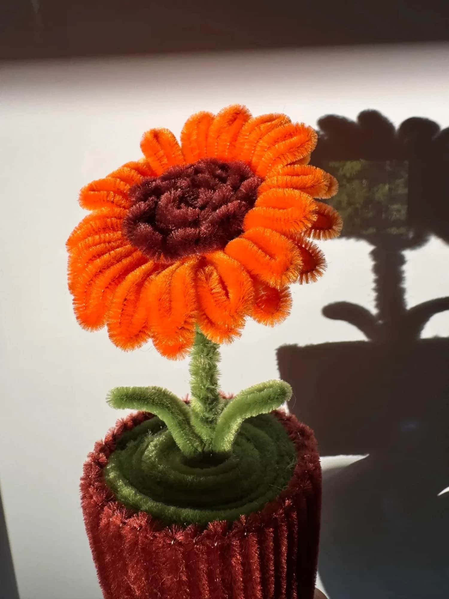 Oransje solsikke av piperensere